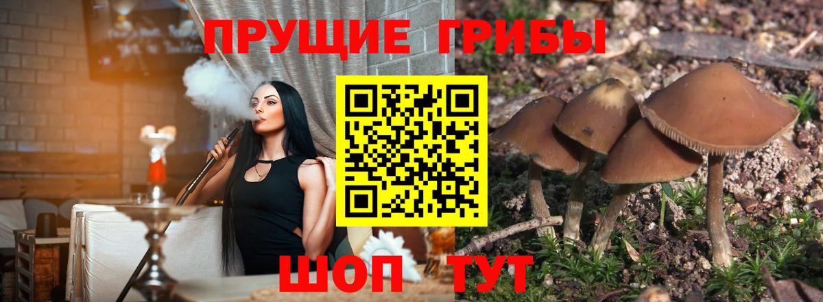 Галлюциногенные грибы мухоморы Выкса