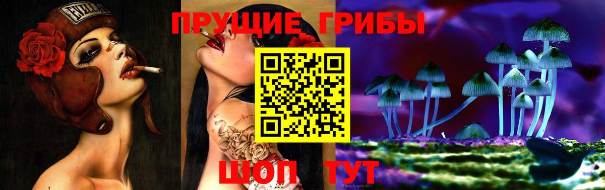 Выкса  Галлюциногенные грибы MAGIC MUSHROOMS  Вход с VPN 
